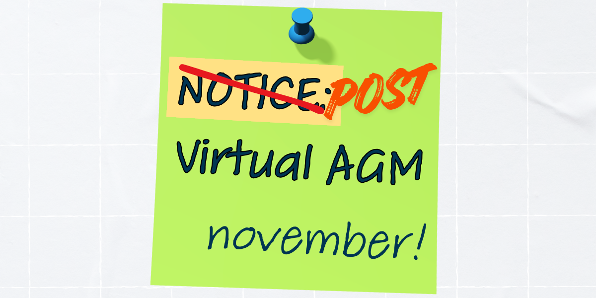 Minutes of AGM (November 19, 2025)